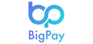 Bigpay Logo